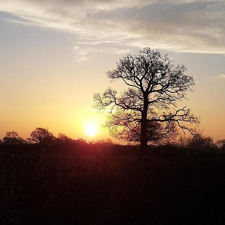 Foxes Field B&B Aston Nantwich Wrenbury Экстерьер фото