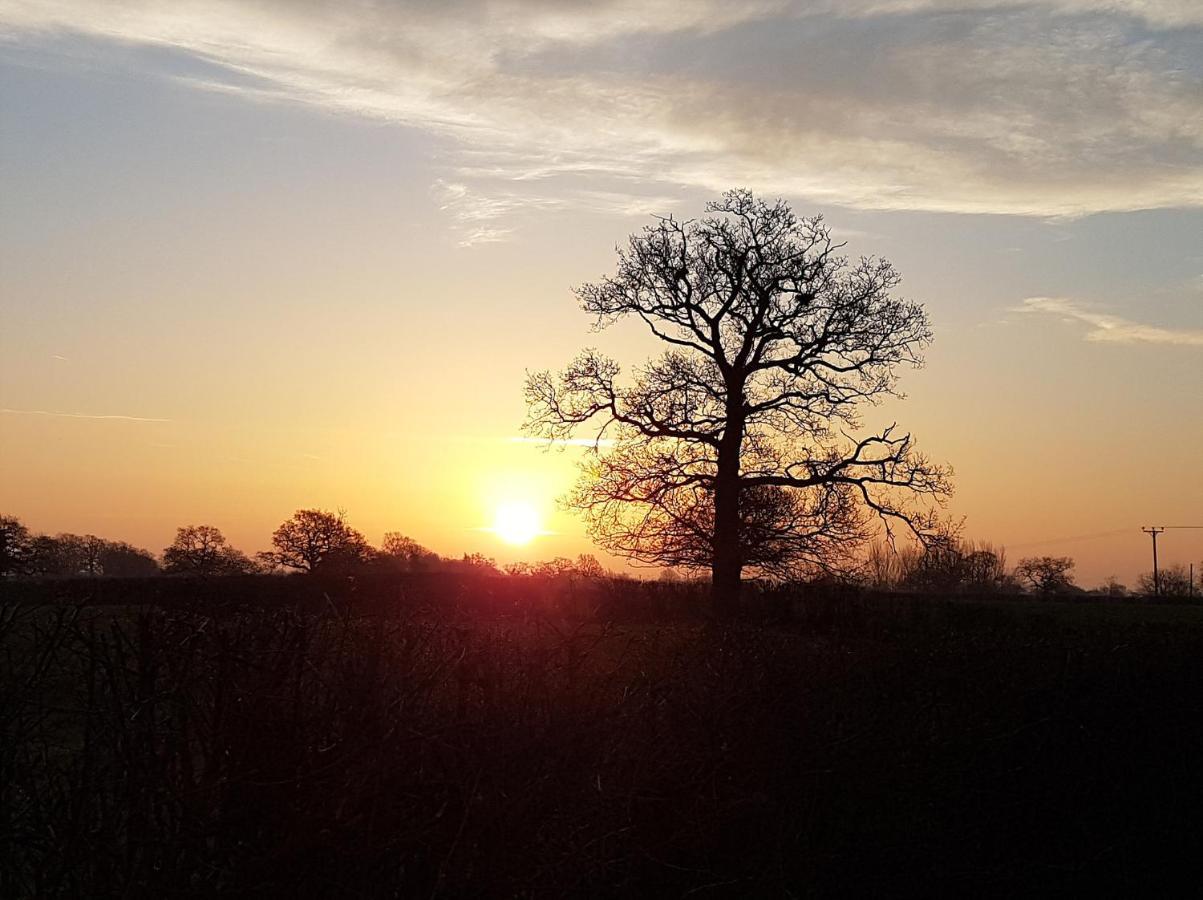 Foxes Field B&B Aston Nantwich Wrenbury Экстерьер фото